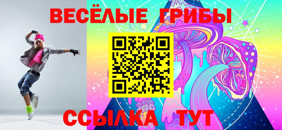 Галлюциногенные грибы Psilocybe  где найти   Заволжье  Галлюциногенные грибы прущие грибы  Вход с VPN 